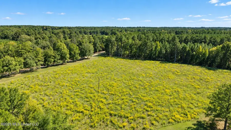 Country Place, Brandon, MS 39047 - #2