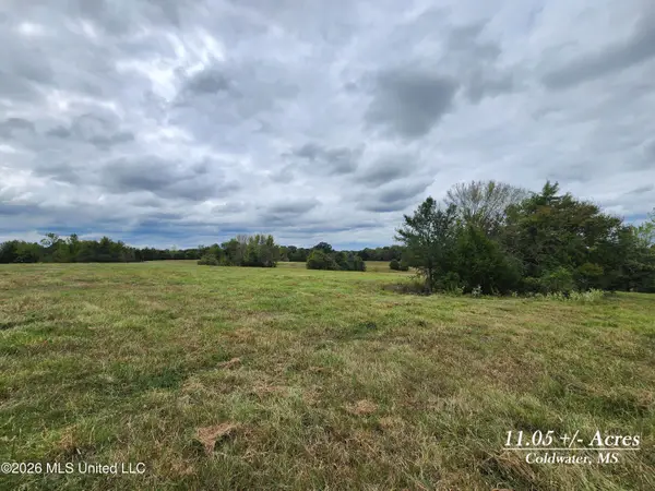 11.05 Bub Jamison Road, Coldwater, MS 38618