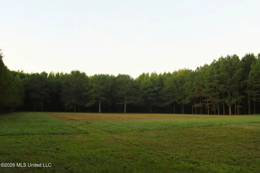 2788 Highway 16, Carthage, MS 39051 - #3