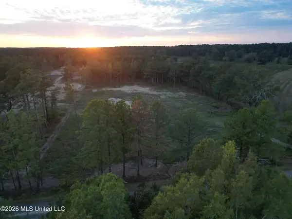 Swamp Road, Carthage, MS 39051