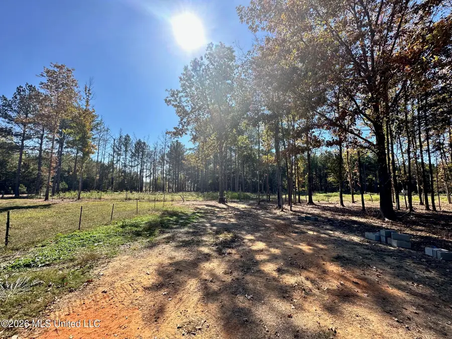 Swamp Road, Carthage, MS 39051 - #2