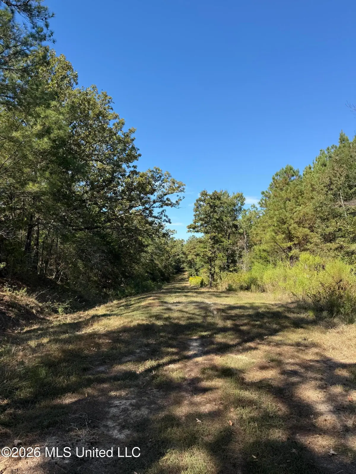 Old 51 Road, Pickens, MS 39146 - #1