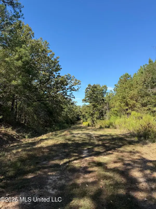 Old 51 Road, Pickens, MS 39146