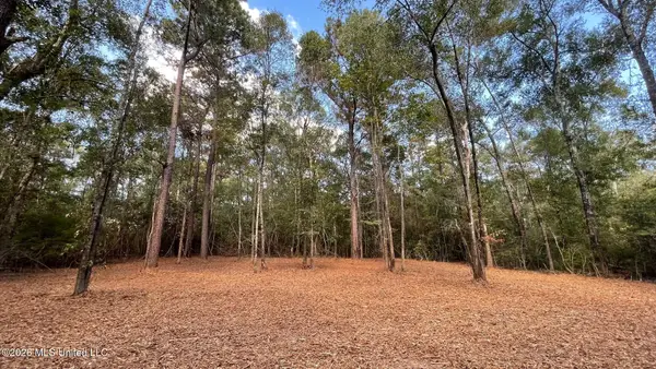 Old Hwy 49, Saucier, MS 39574