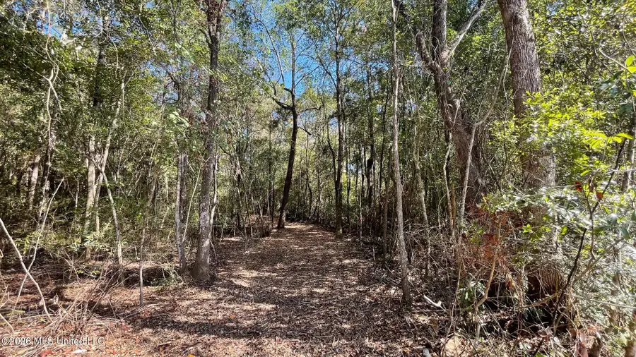 Old Hwy 49, Saucier, MS 39574 - #3
