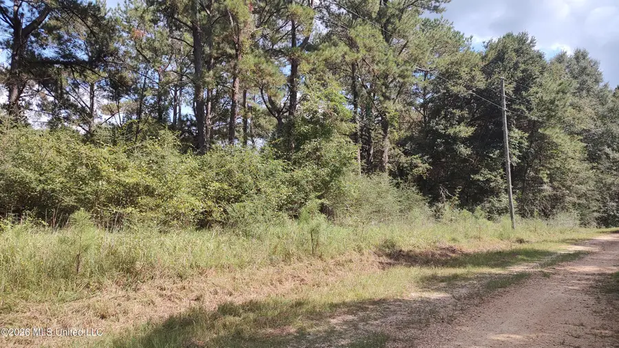 No Deer Creek Road, Lumberton, MS 39455 - #2