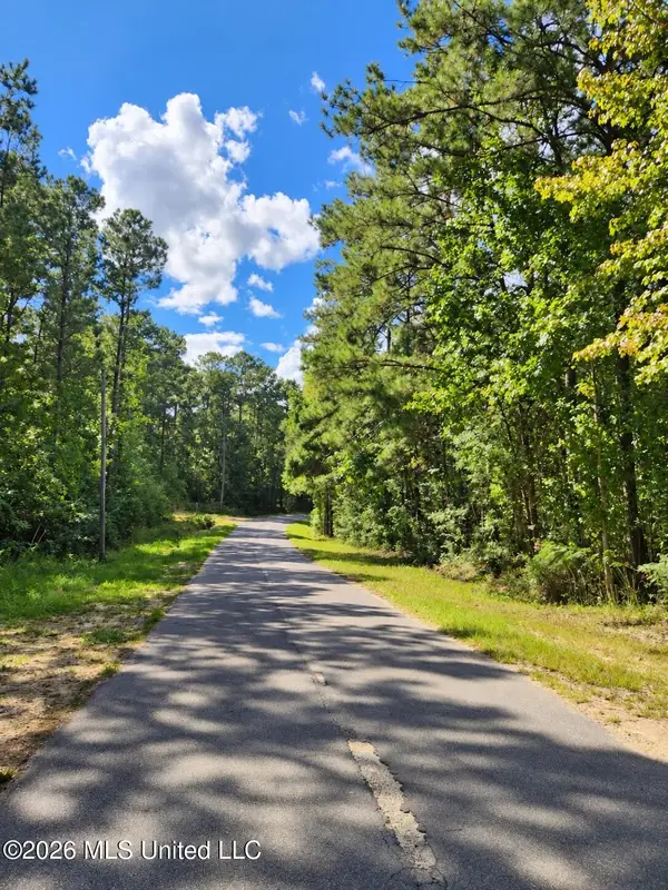 Lot 4 Nhn Will Thompson, Picayune, MS 39466