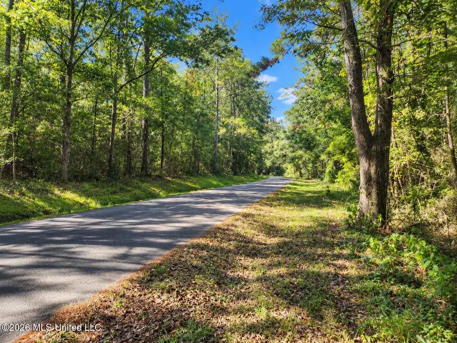 Lot 5 Nhn Will Thompson, Picayune, MS 39466 - #2