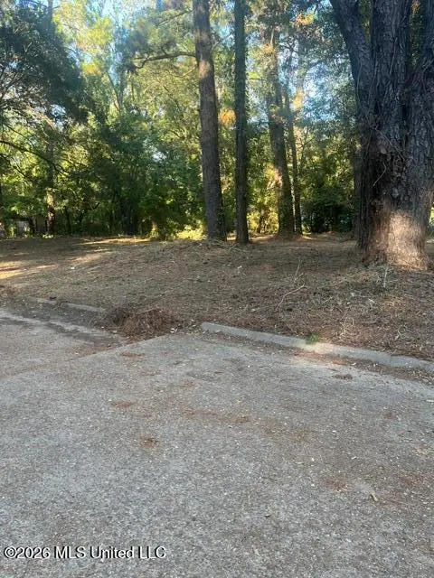 SW Willaman Street, Jackson, MS 39209