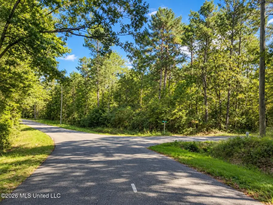Lot 10 Nhn Will Thompson, Picayune, MS 39466 - #3