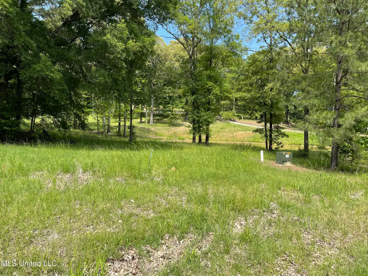 H Dover Lane, Madison, MS 39110 - #1
