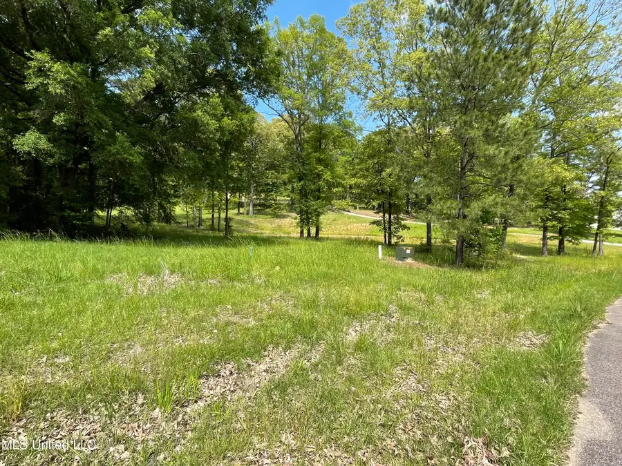 H Dover Lane, Madison, MS 39110 - #2