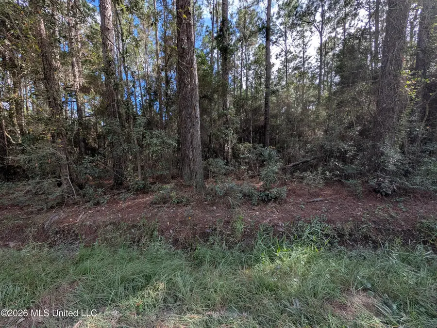 W Newton Street, Bay Saint Louis, MS 39520 - #2