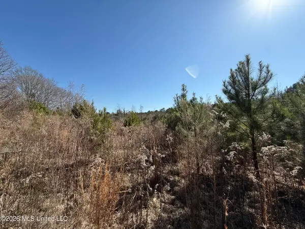 532 Mount Zion Road, Prentiss, MS 39474