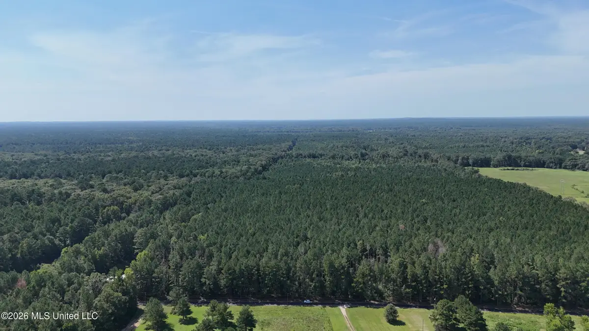 Davis Road, Morton, MS 39117 - #1