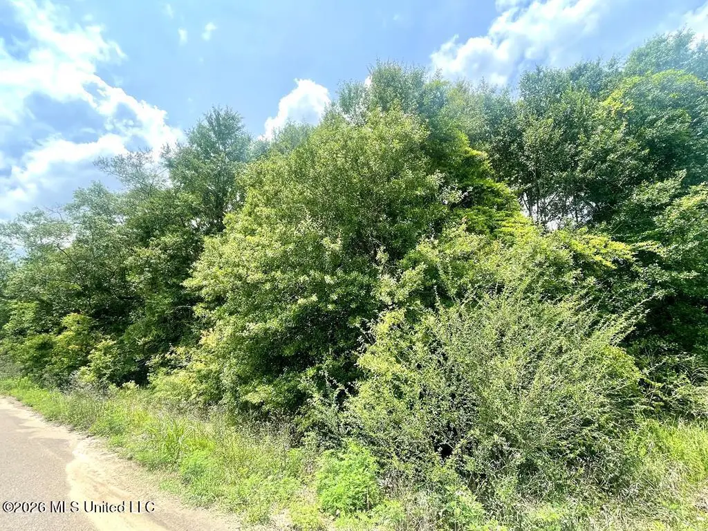 No Theodore Drive, Poplarville, MS 39470 - #1