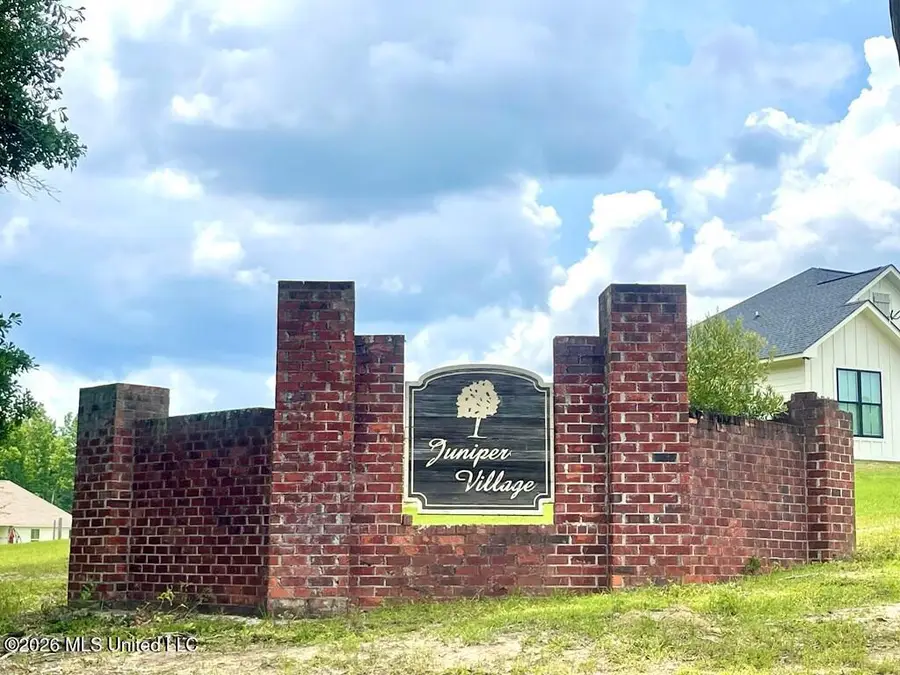 No Theodore Drive, Poplarville, MS 39470 - #2