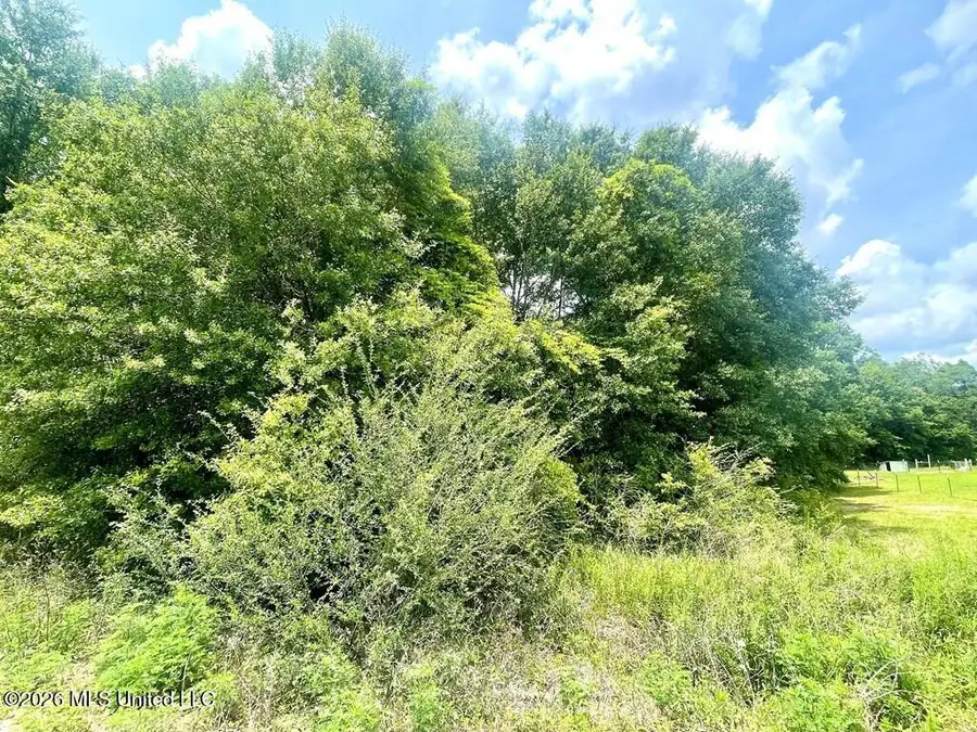 No Theodore Drive, Poplarville, MS 39470 - #3