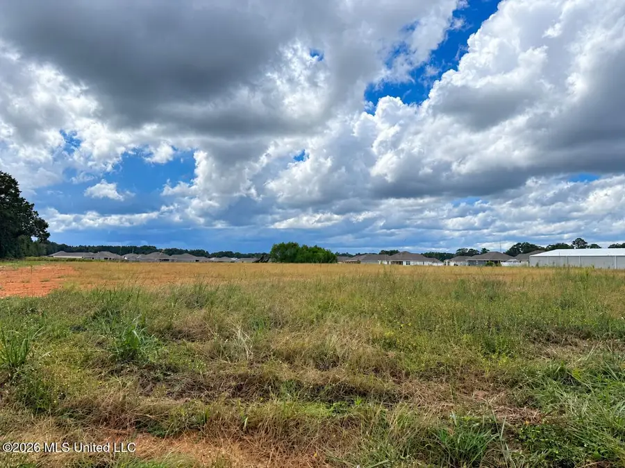 2.2 Ac Highway 613, Lucedale, MS 39452 - #3