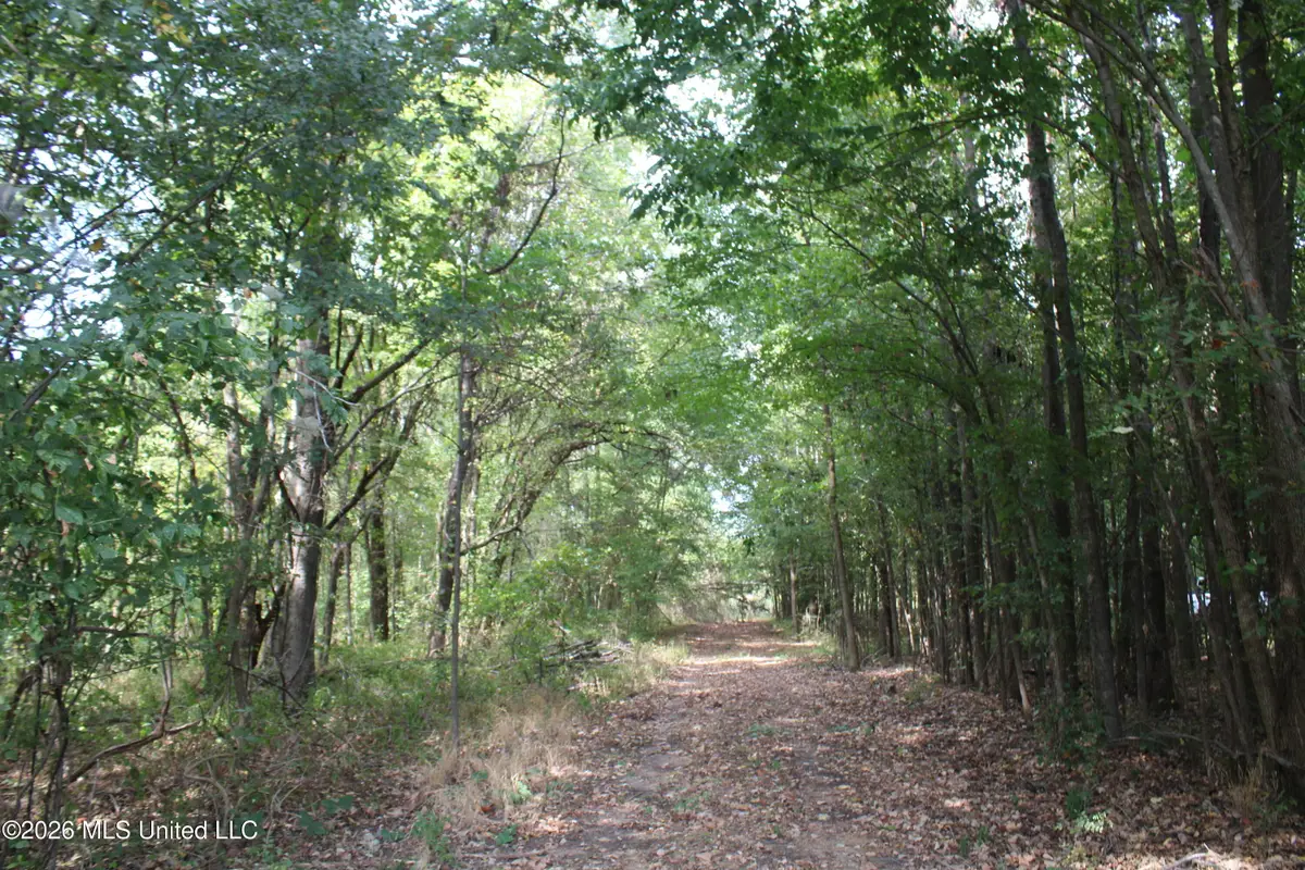 6 Star Landing Road, Nesbit, MS 38651 - #1