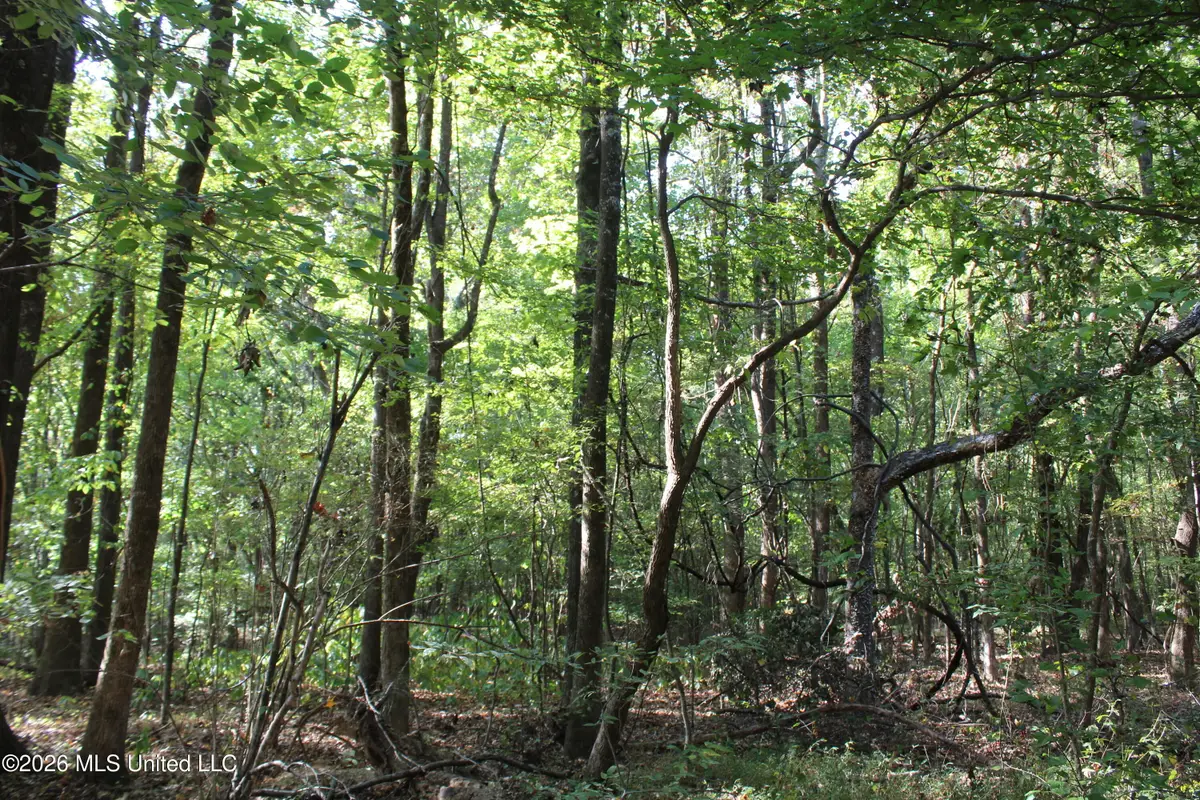 7 Star Landing Road, Nesbit, MS 38651 - #1