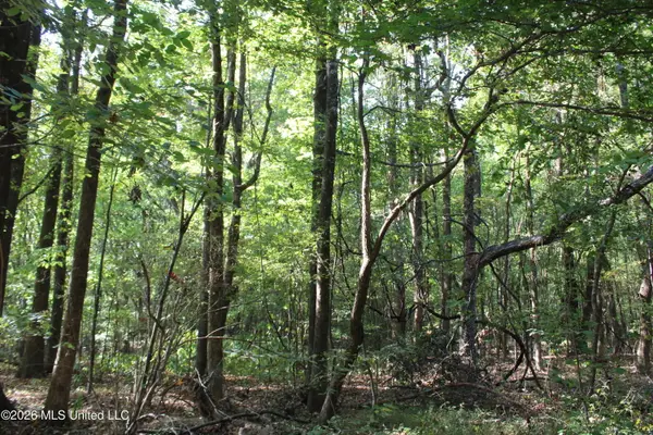 7 Star Landing Road, Nesbit, MS 38651