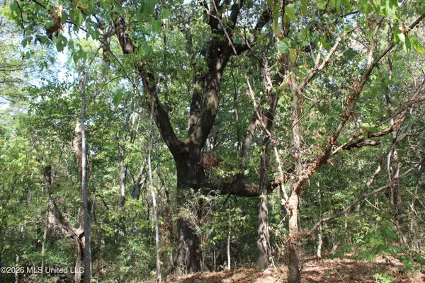 8 Star Landing Road, Nesbit, MS 38651