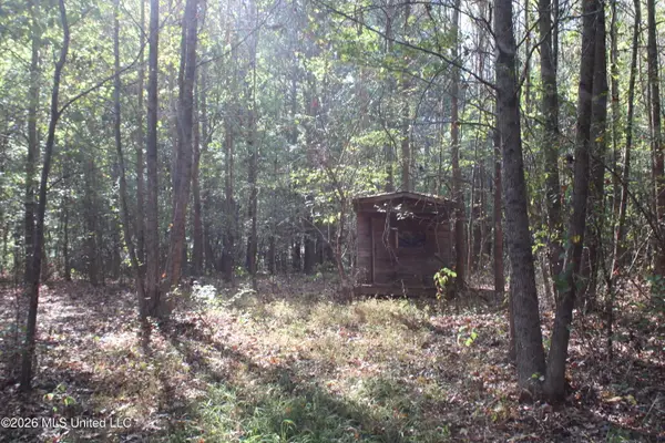 9 Star Landing Road, Nesbit, MS 38651
