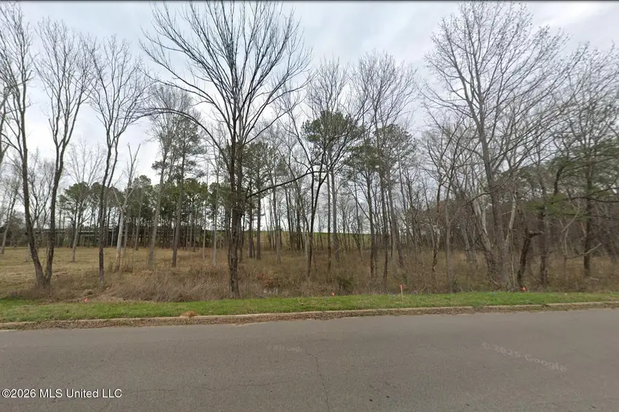 500 E Mark Drive, Brandon, MS 39042 - #2