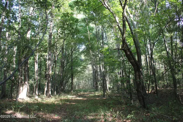 13 Star Landing Road, Nesbit, MS 38651