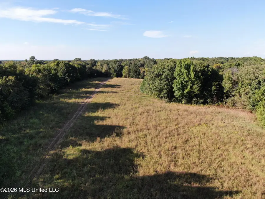 15 Tulane Road, Nesbit, MS 38651 - #3