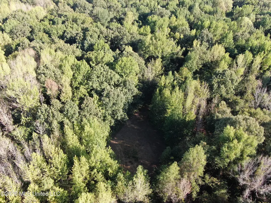 17 Star Landing Road, Nesbit, MS 38651 - #3