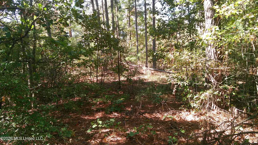 Joiner Road, Batesville, MS 38606 - #3