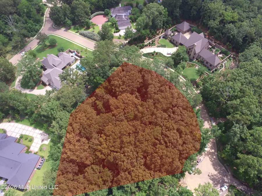 103 Woodmont Cove, Ridgeland, MS 39157 - #3