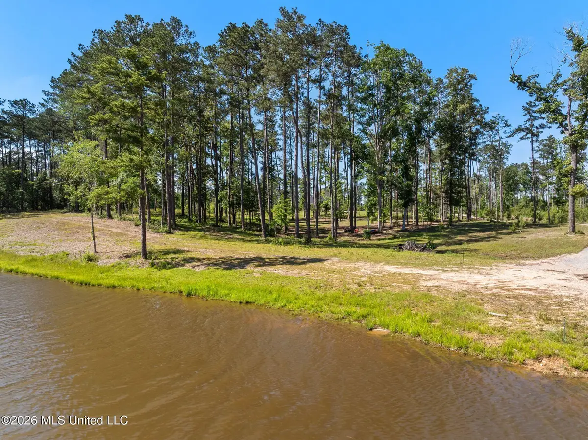 4.05 Acres Placid Drive, Sumrall, MS 39482 - #1