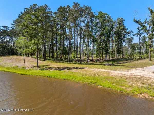 4.05 Acres Placid Drive, Sumrall, MS 39482