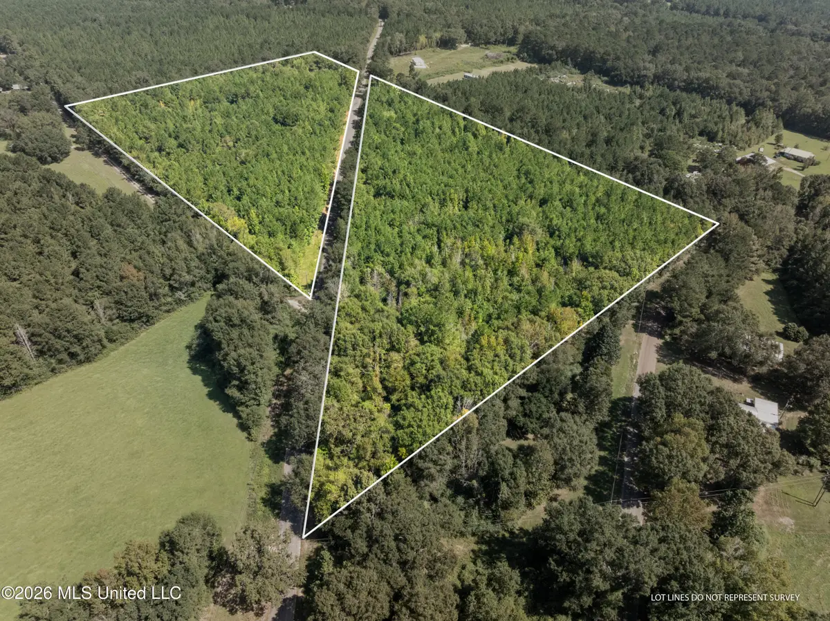 326 Magee Hill Road, Tylertown, MS 39667 - #1