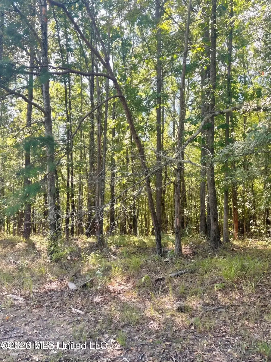 4811 Holcomb-sweethome Road, Holcomb, MS 38940 - #3