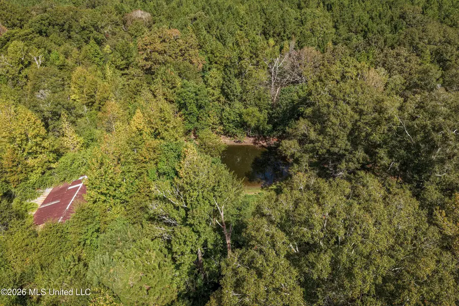 Allen Lane, Magnolia, MS 39652 - #2