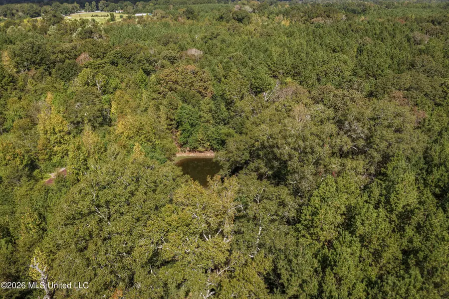 Allen Lane, Magnolia, MS 39652 - #3