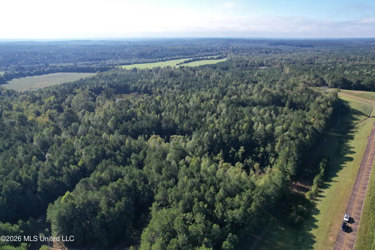 N Hwy 25, Louisville, MS 39339 - #1