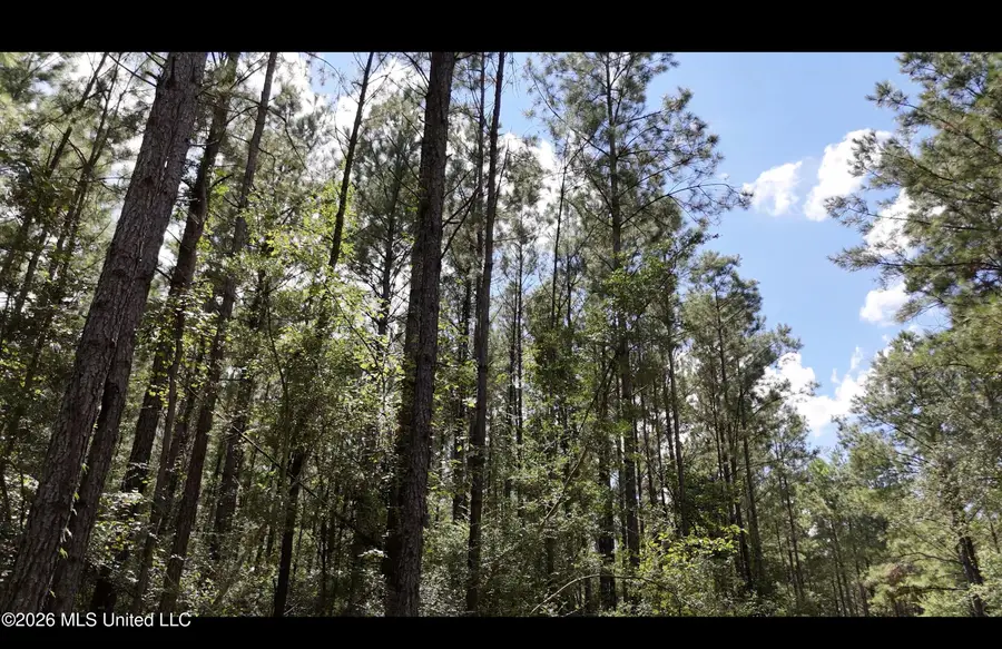 0 Union Road Se, Brookhaven, MS 39601 - #3