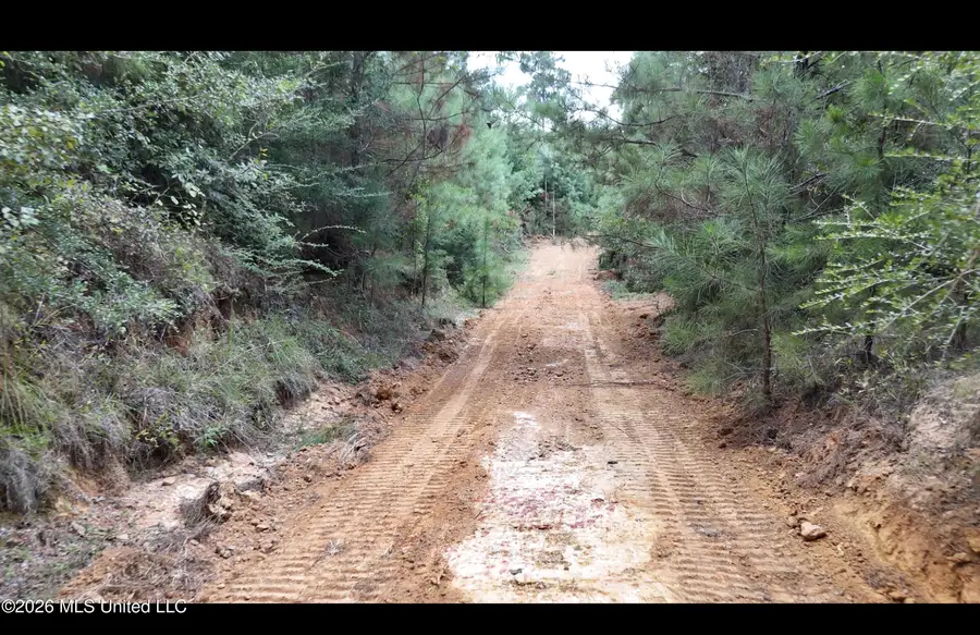 Plez Drive, Brookhaven, MS 39601 - #3