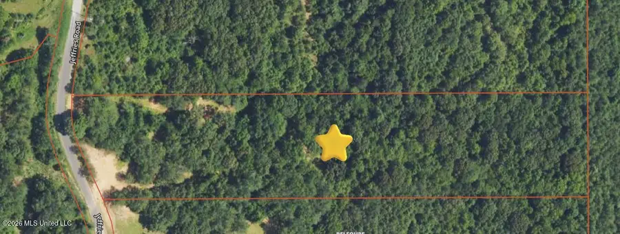 Jeffries Road, Potts Camp, MS 38659 - #2