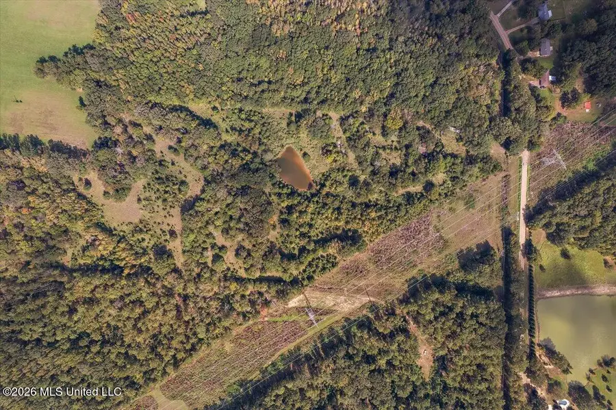 4461 Clinton Tinnin Road, Clinton, MS 39056 - #2