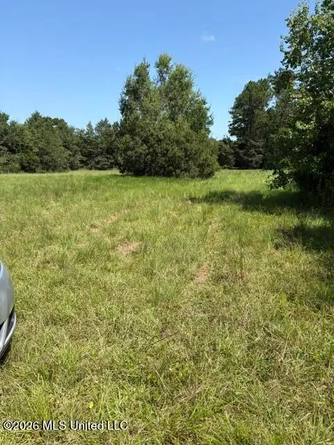 6420 Firetower Road, Kiln, MS 39556 - #1
