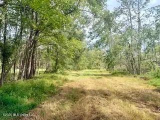 30 Mississippi 310, Como, MS 38619