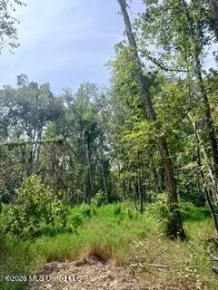 30 Mississippi 310, Como, MS 38619 - #3