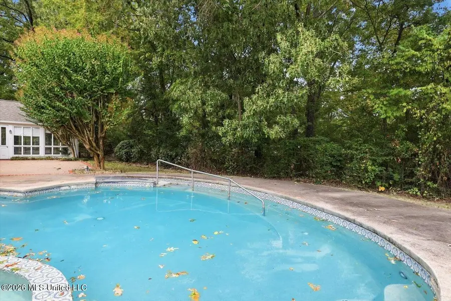 207 Lattimore Ridge, Ridgeland, MS 39157 - #3
