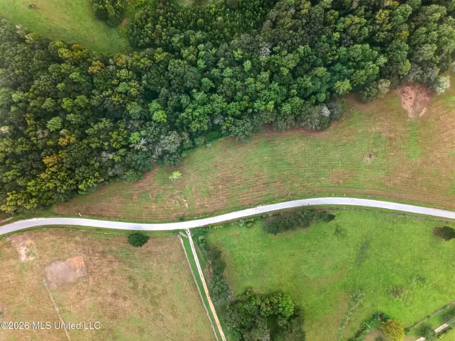 El Shaddai Road, Poplarville, MS 39470 - #3